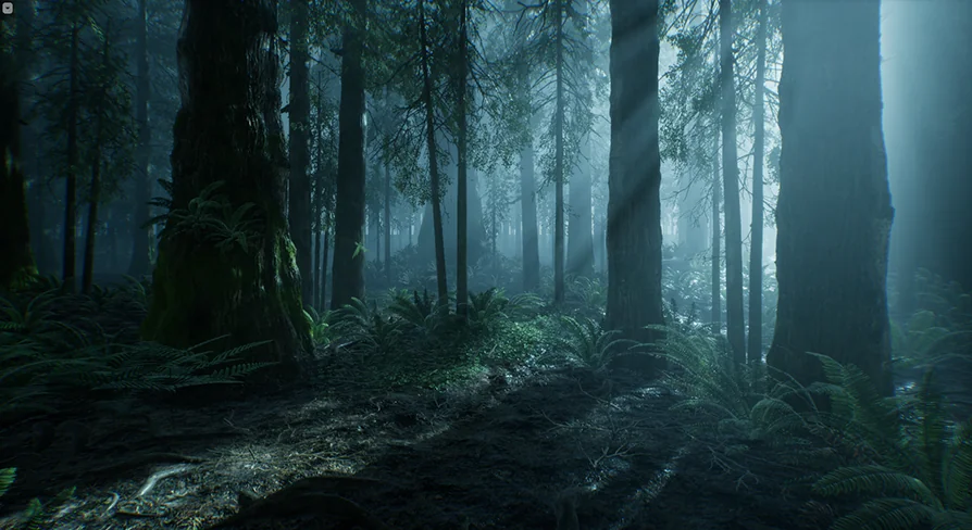 The Forest
