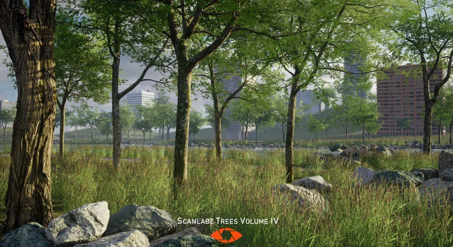 Scanlabz Trees _ Honeylocust Tree