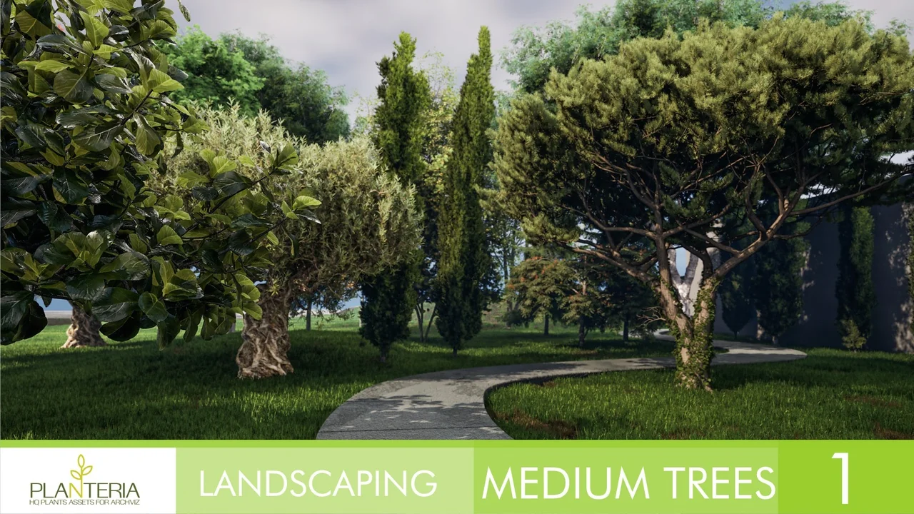 Landscaping Medium Trees Vol. 1