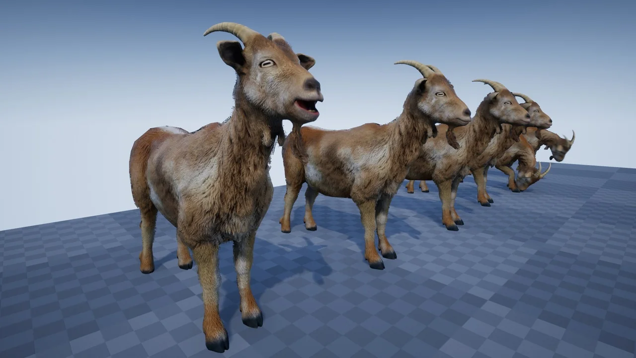 FARM ANIMALS PACK