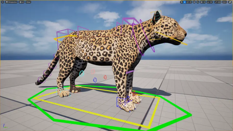 Indian Leopard Control Rig