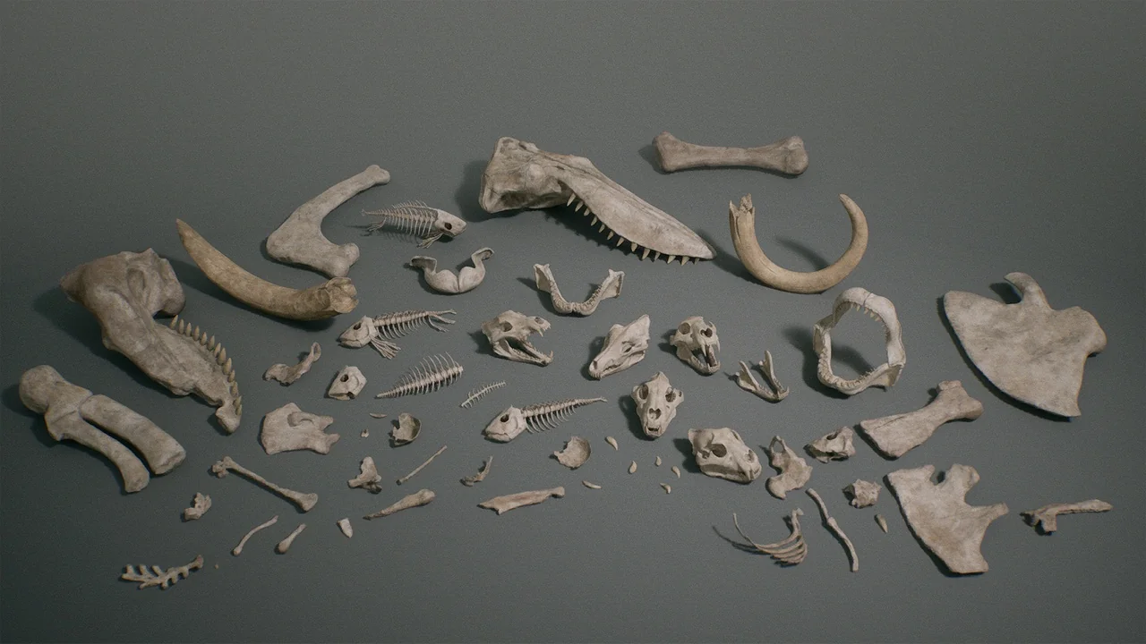 Bones VOL.1 - Animal Bones 1 (Nanite + Low Poly)