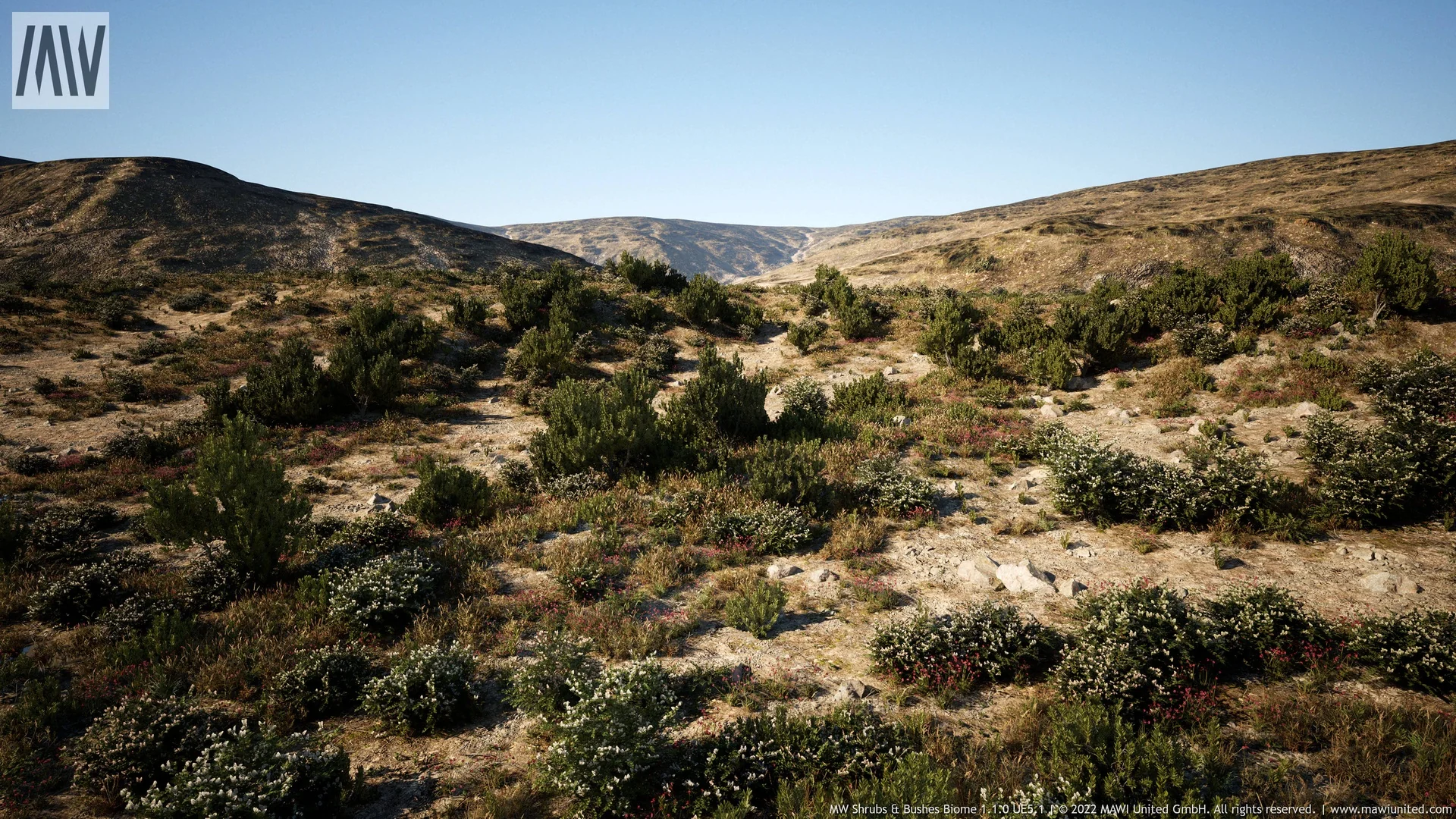 MW Shrubs & Bushes Biome