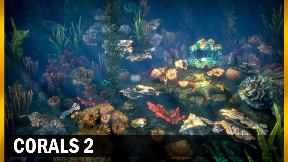 Corals 2