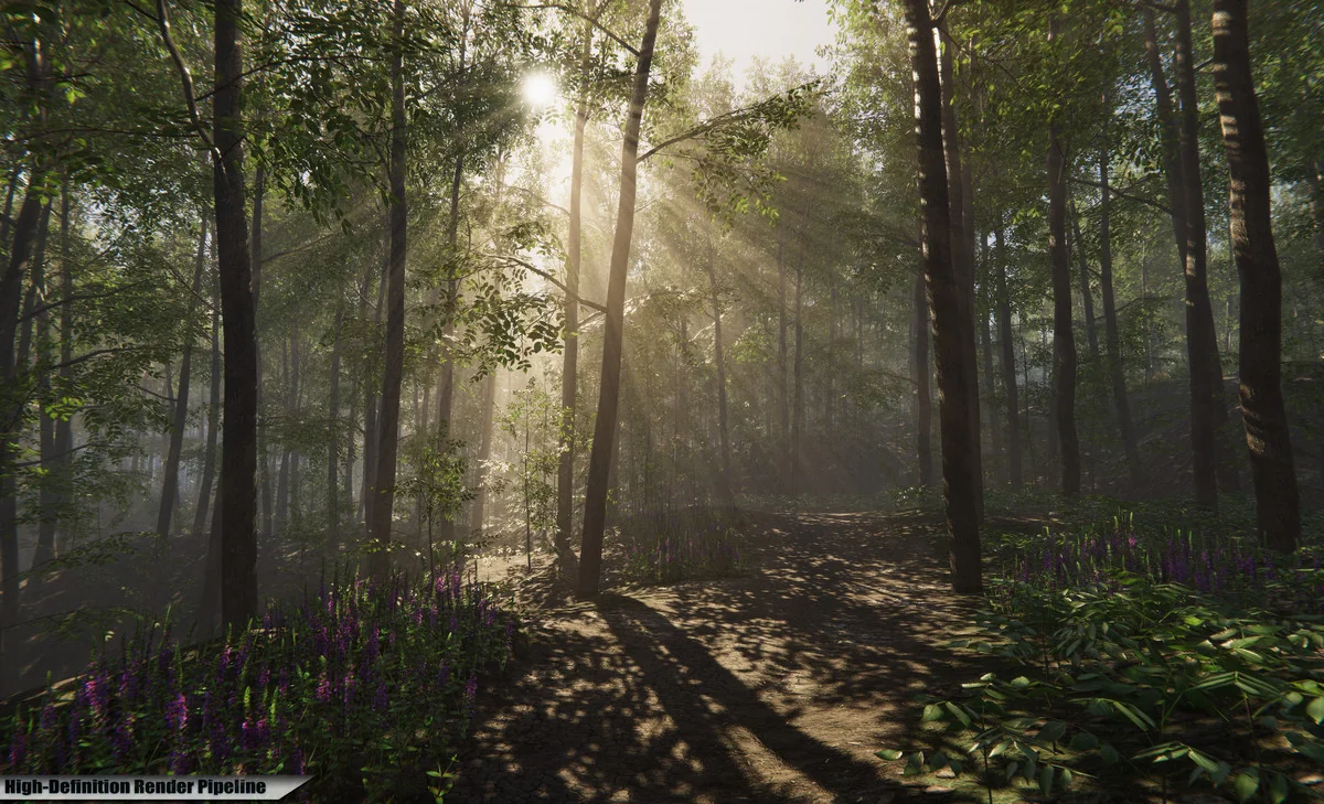 Nature Package - Forest Environment