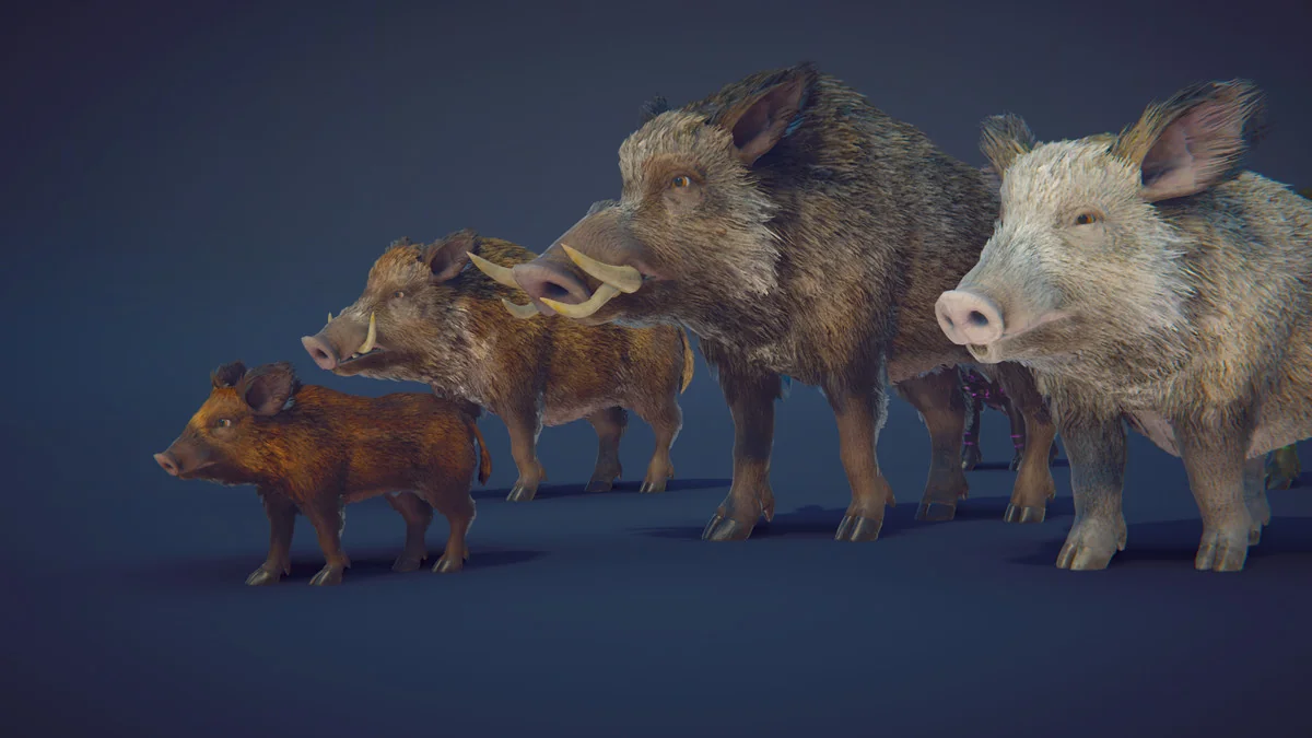 Realistic Boars
