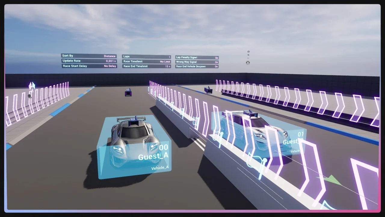 Race System