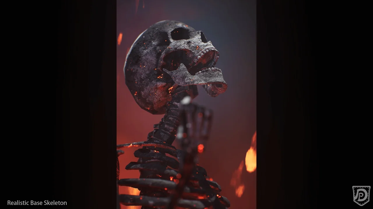 Realistic Base Skeleton