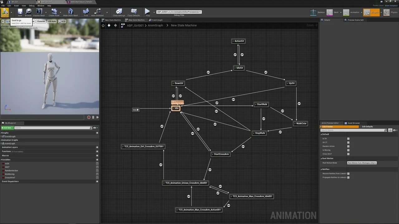 CiTY SIM ANIMATION PACK