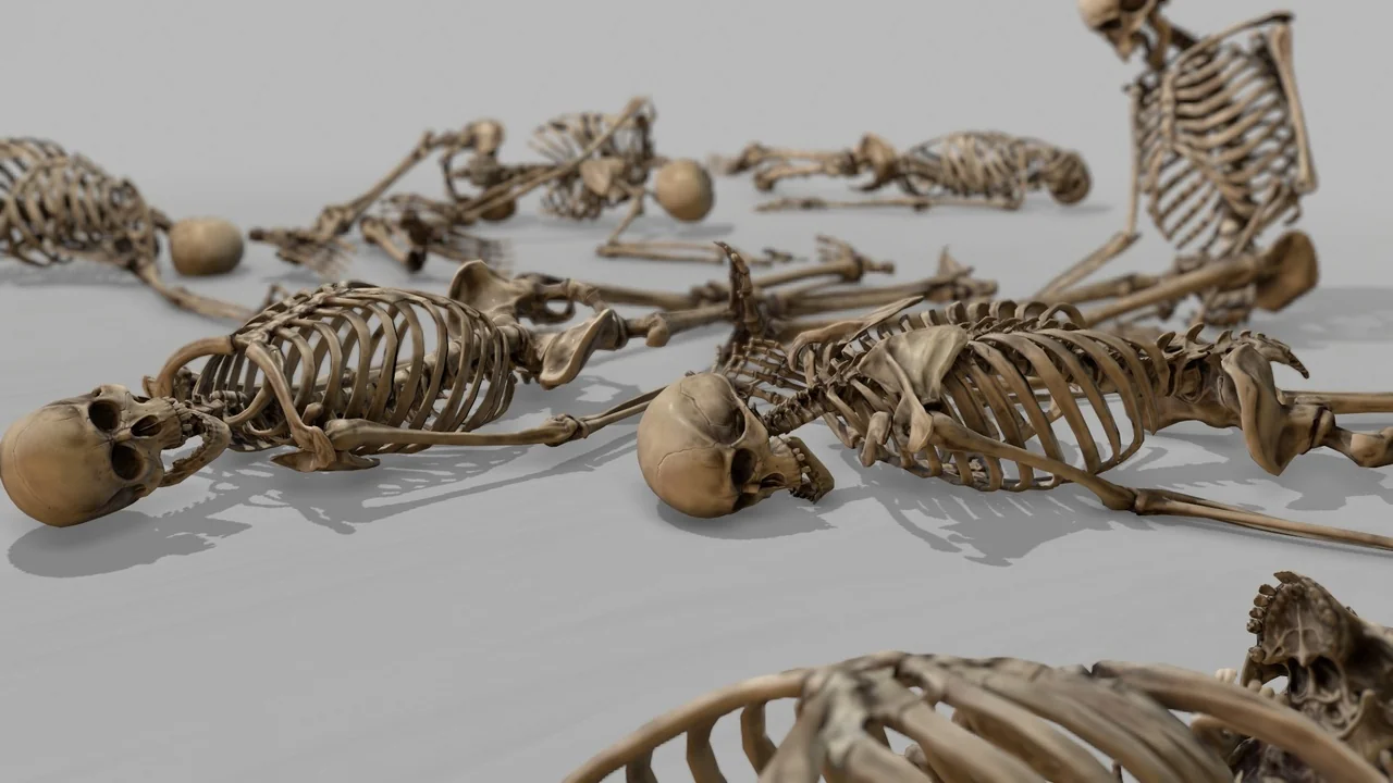 Modular Human Skeleton