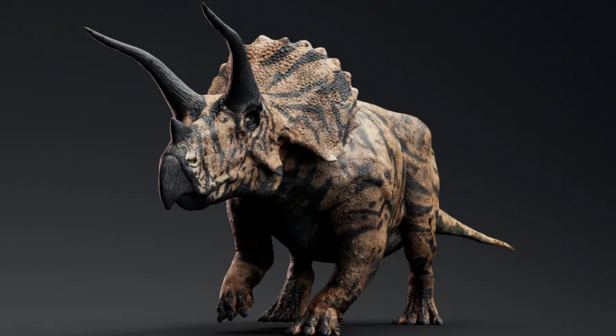 Dinosaur Triceratops