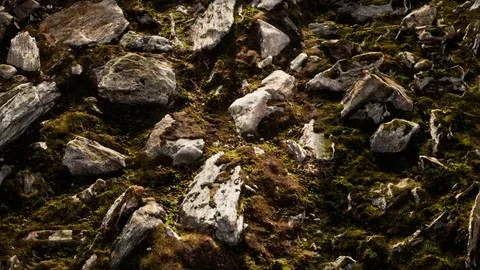 Unreal Shader : Megascans Assets