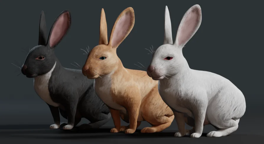 Realistic Rabbit