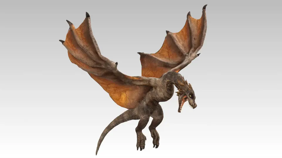 Wyvern