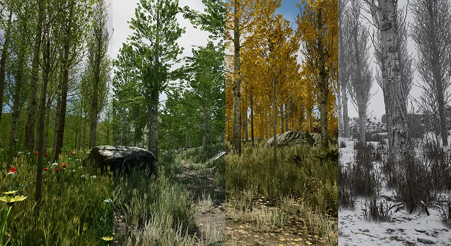 Scanned Poplar and Aspen Forest with Seasons