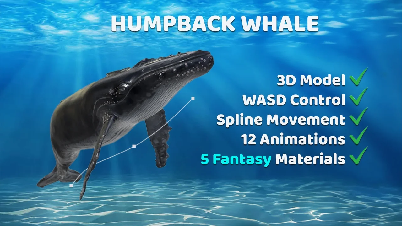 Animated Humpback Whale