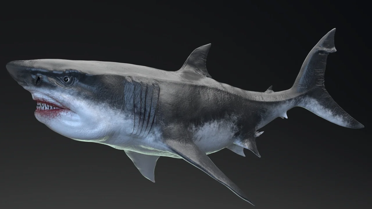 Dinosaur MEGALODON - Sea Monster Series 5