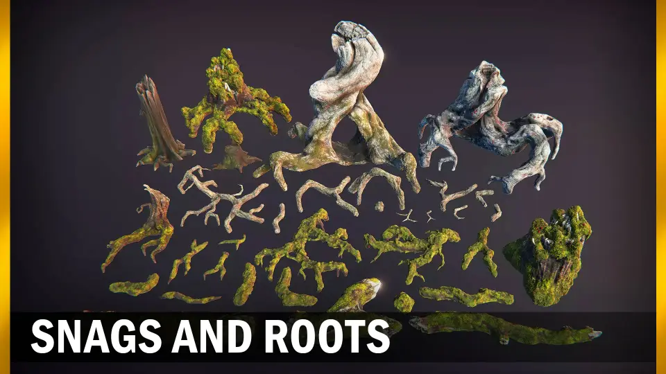 Snags & Roots