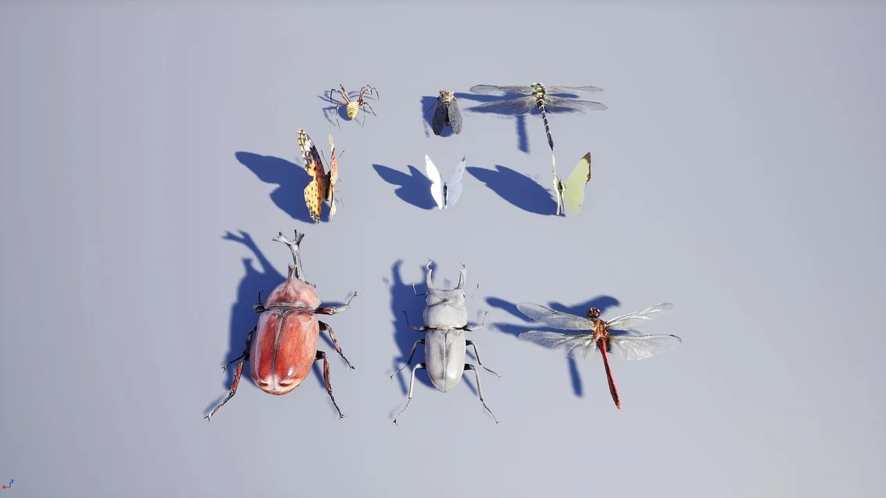 Japanese Insect Pack