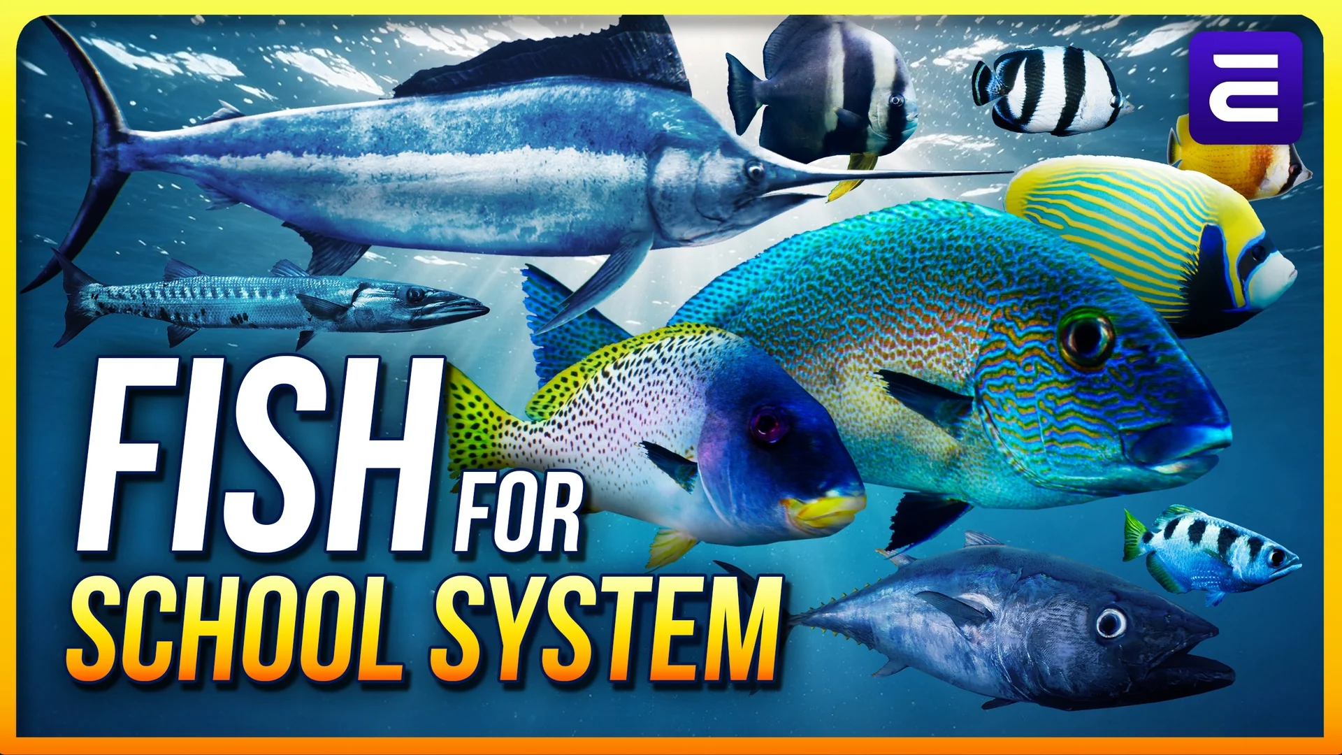 Fish for Fish School System