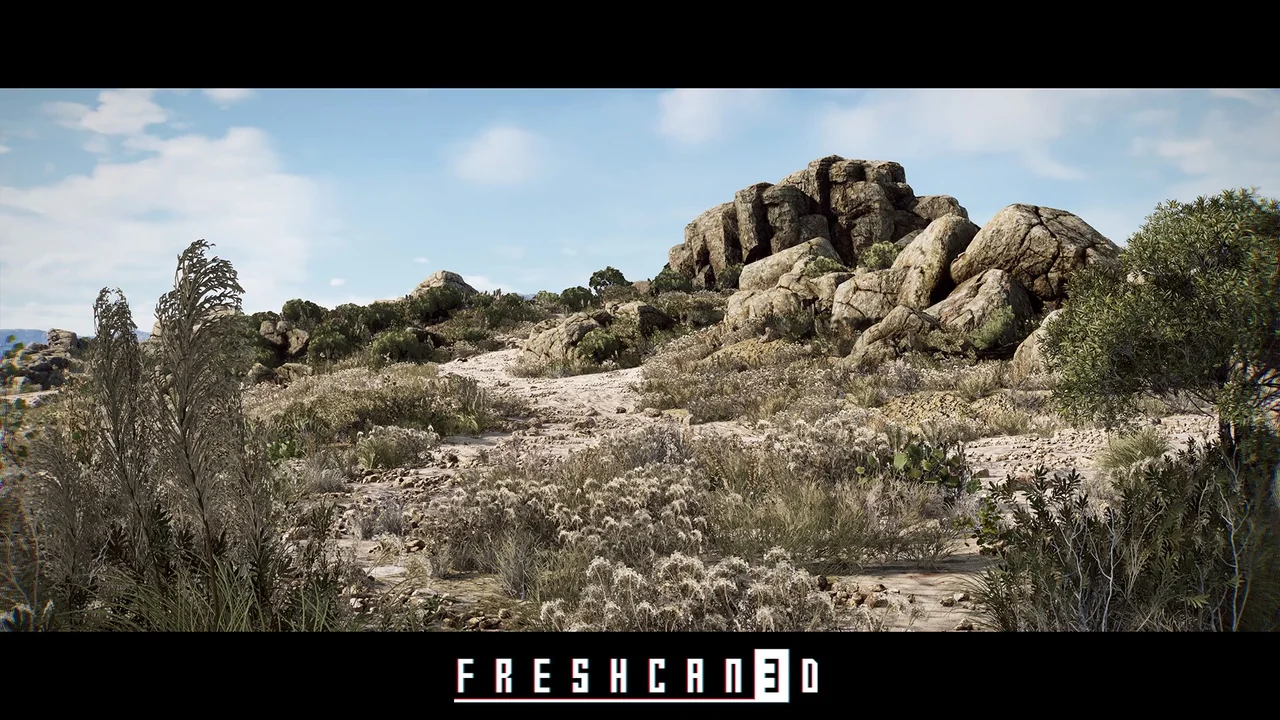 Shrubland Landscape Environment ( Landscape , Arid Landscape , Plain Landscape )