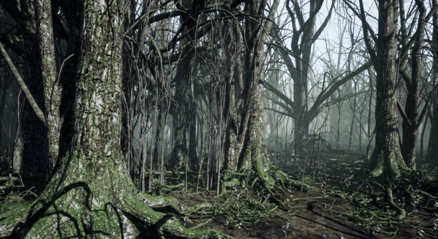 Dark Forest