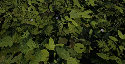 Ontario PBR Plant Pack