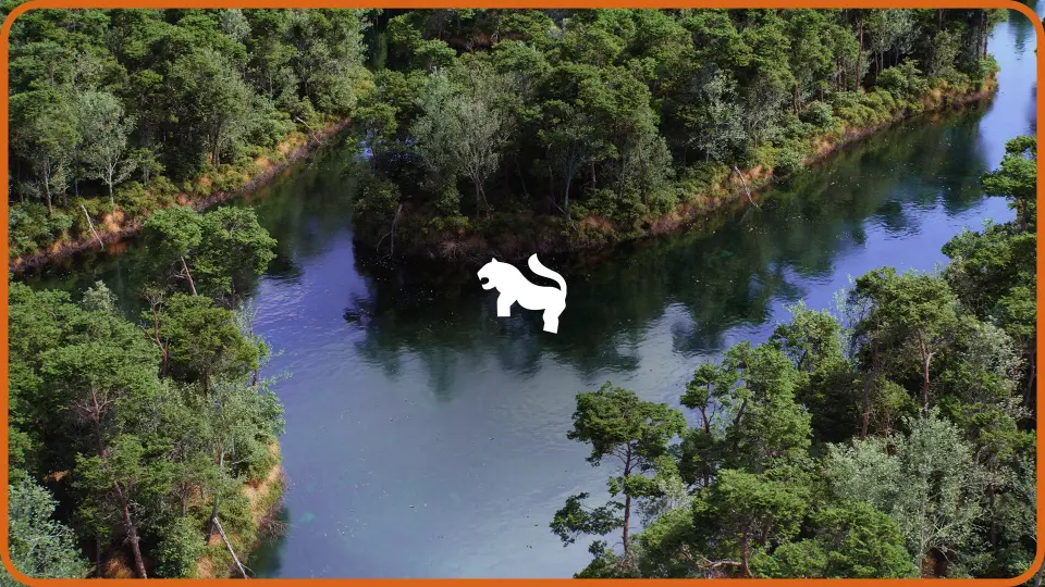The Pine Environment ( Foliage Island PCG Nature River Nature Nature Biom )