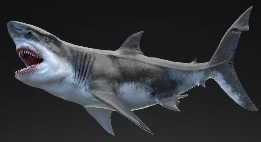 Dinosaur MEGALODON - Sea Monster Series 5