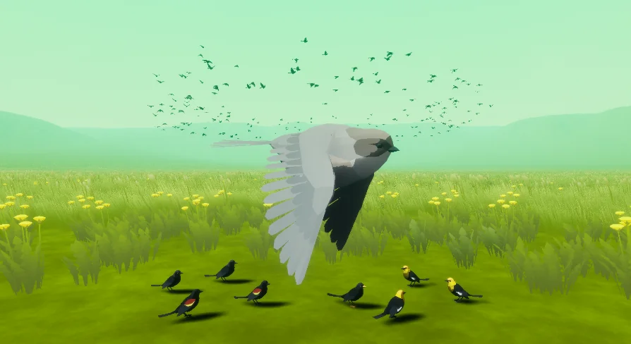 Beefy Blackbirds (Niagara Bird System)