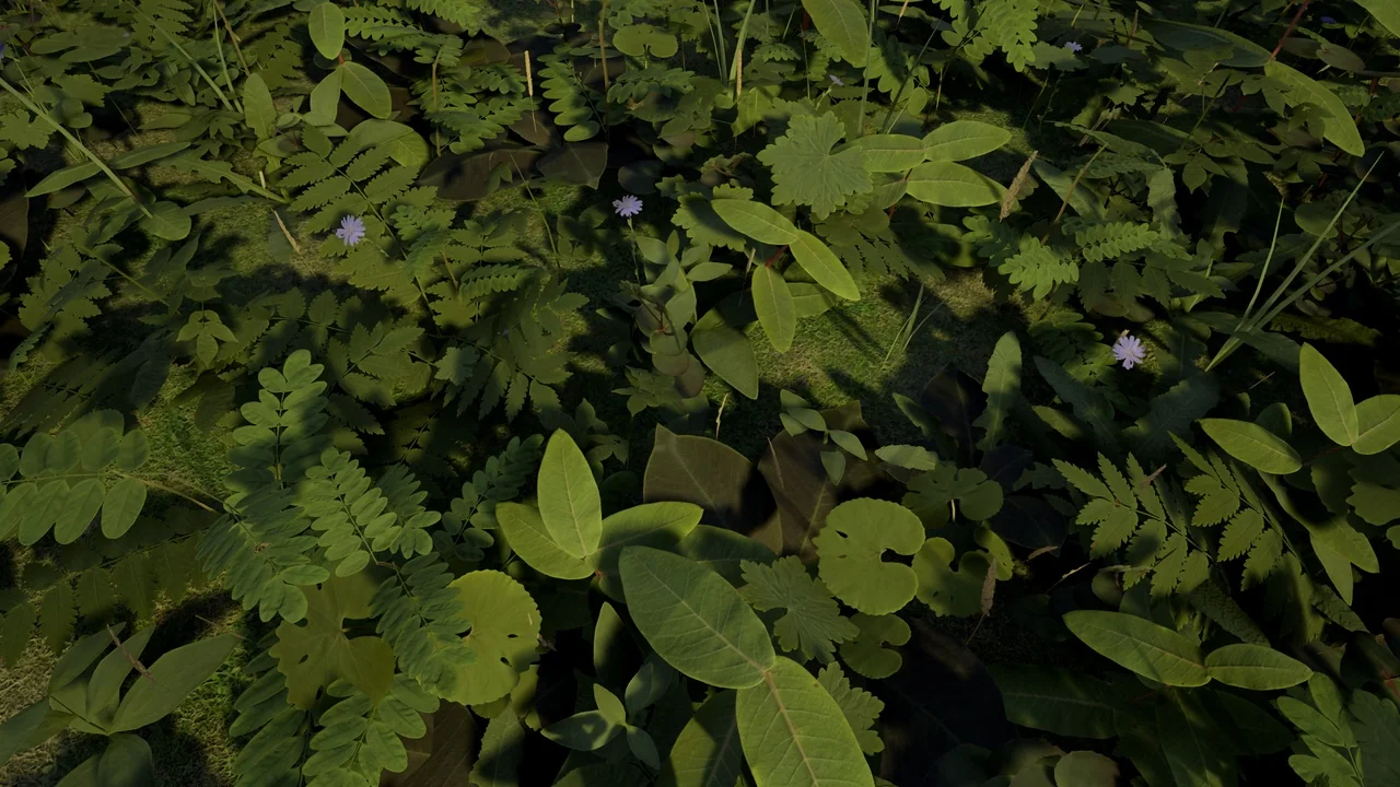 Ontario PBR Plant Pack