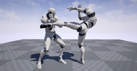 Fighting Animset Pro