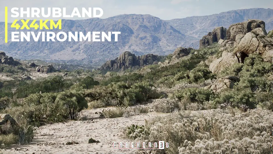 Shrubland Landscape Environment ( Landscape , Arid Landscape , Plain Landscape )