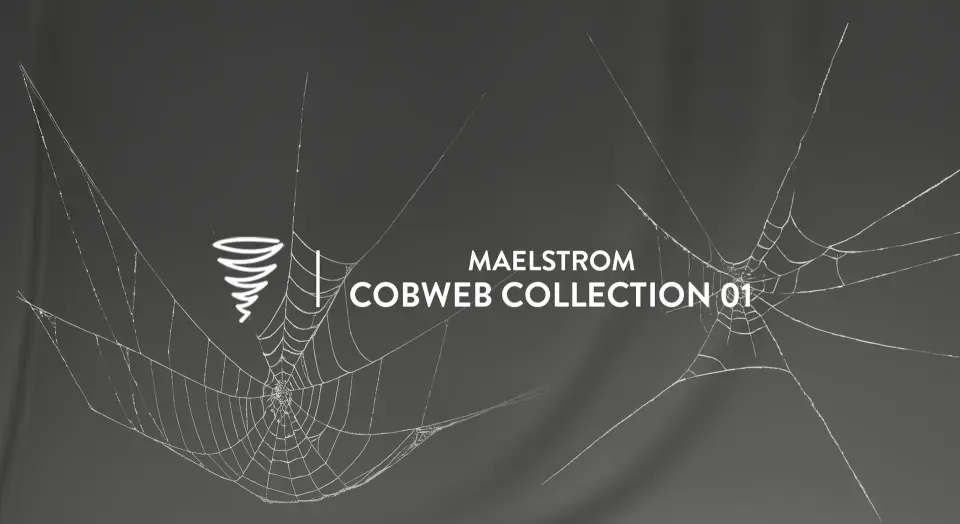MAE Cobweb Collection 01