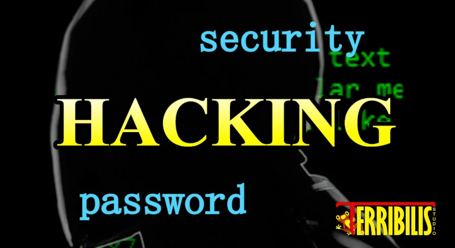 HACKING SECURITY ACCESS