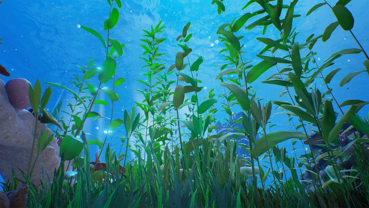 Reef Kit