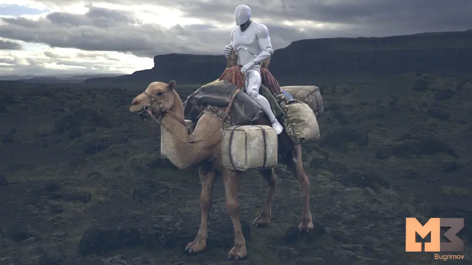 Camel Fantasy