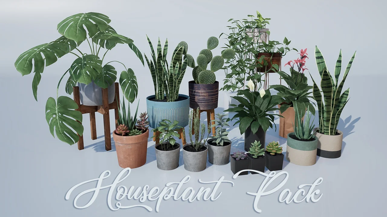 Houseplant Pack - Interior and Exterior Plants