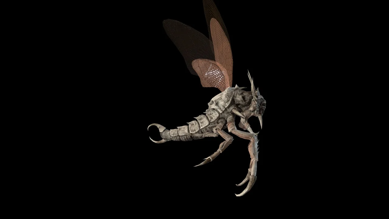 Monster_Beetle_Pack