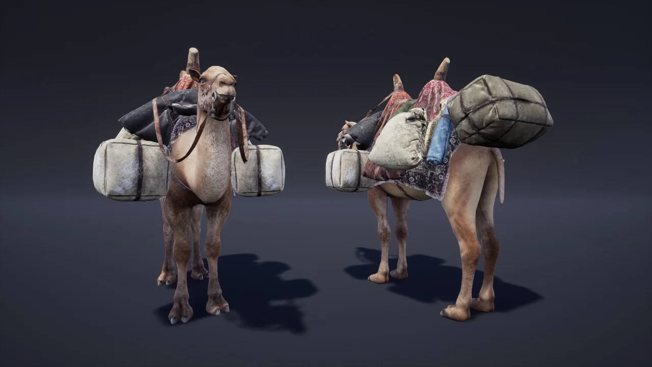 Camel Fantasy