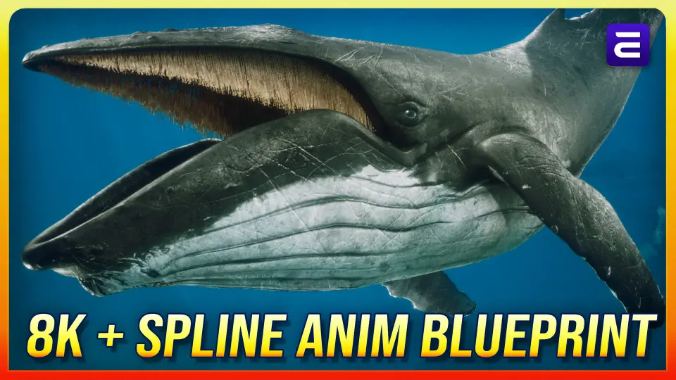 Humpback Whale