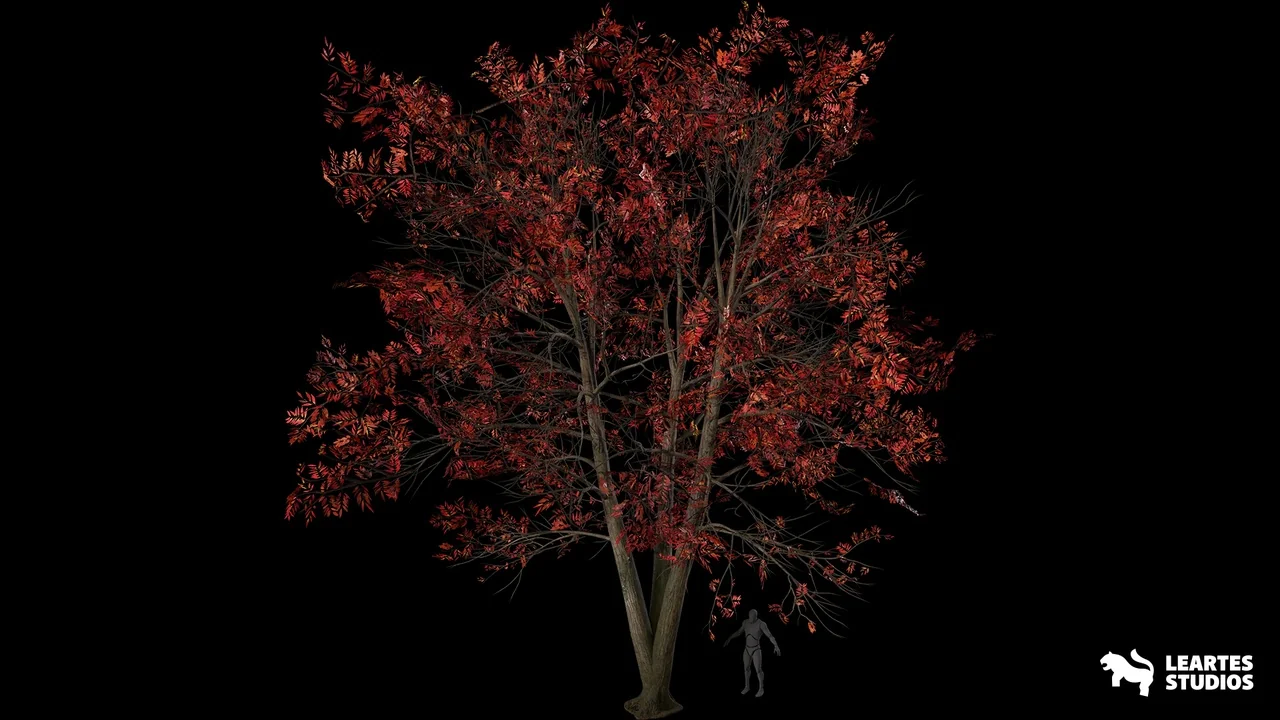 Sourwood Trees ( Sourwood Trees Tree Nature Forest Vegetation 3D Prop Art )