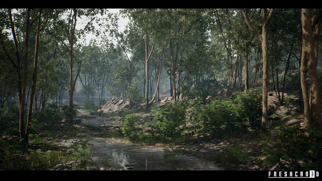 Forest Environment ( Riverside Forest with Pine and Tropical Trees )