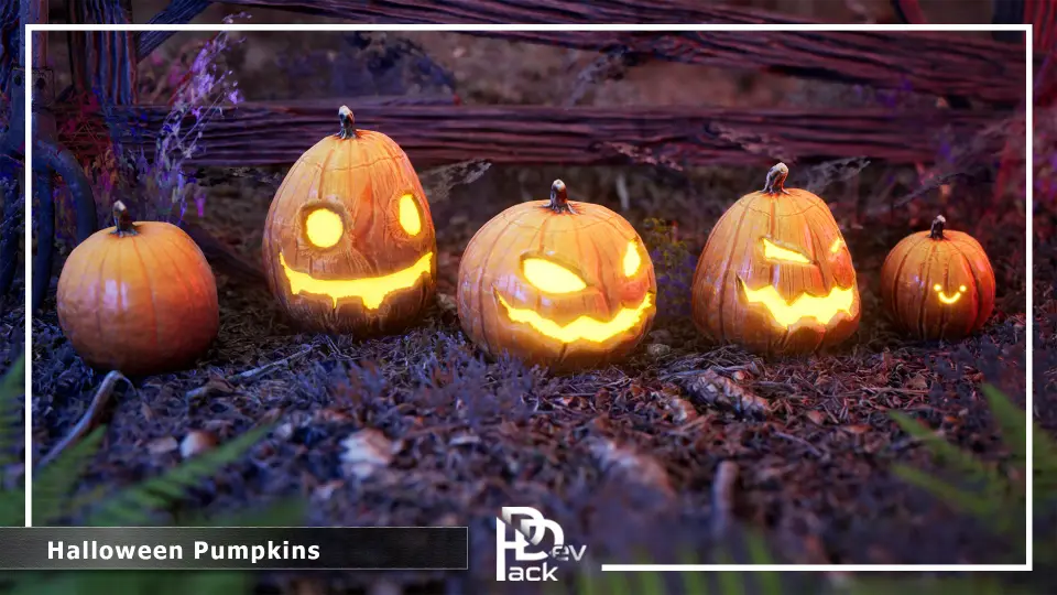 Halloween Pumpkins / 10+ Variations & Vegetation