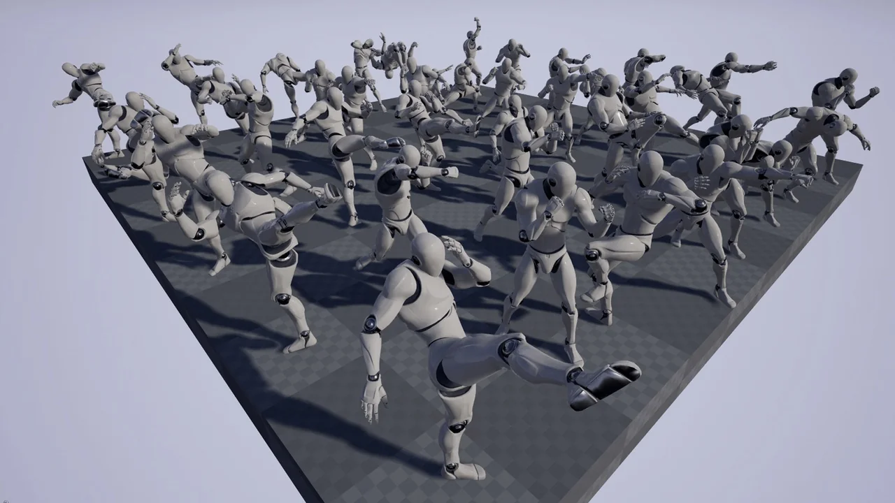 Fighting Animset Pro