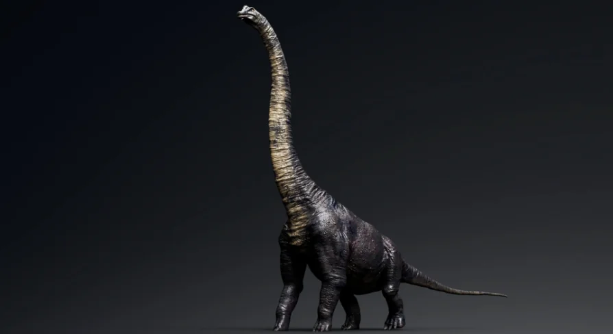 Dinosaur Brachiosaurus Sauropod