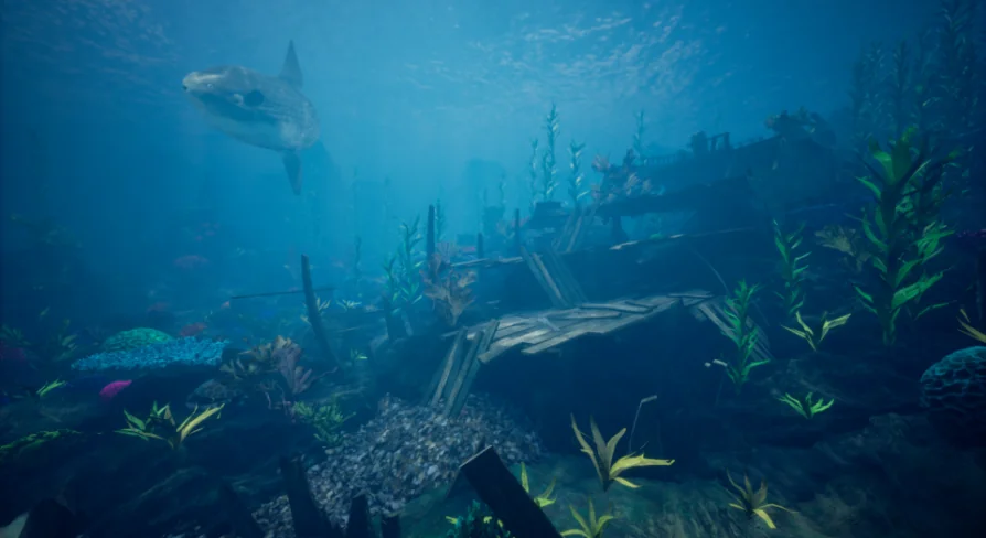Ocean Environment Pack 2 - Coral Reef