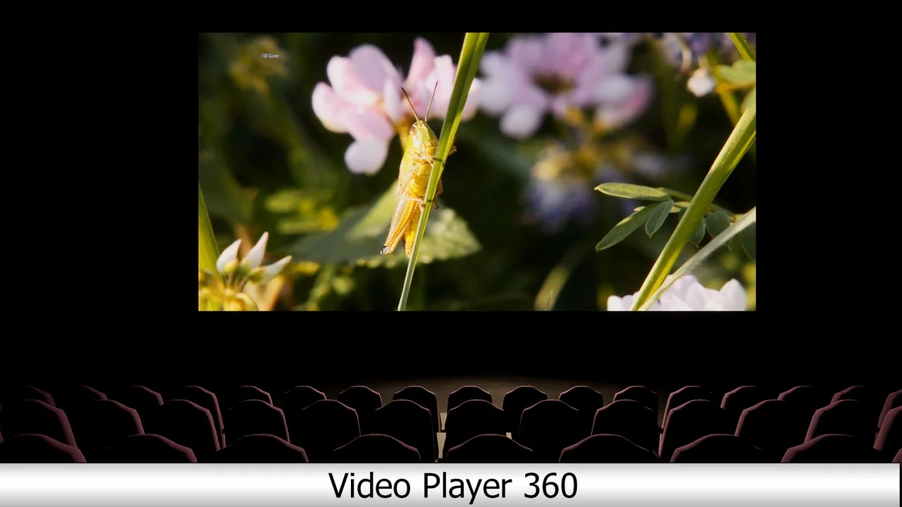 Video Player 360 (2D, 180, 360, Stereo)