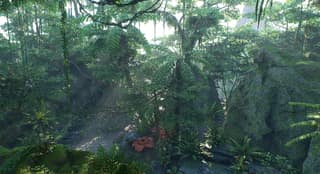 Tropical Jungle Pack