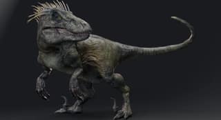 Dinosaur UtahRaptor